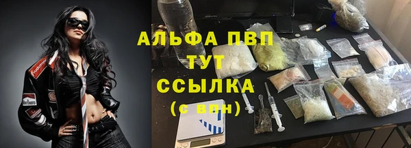 PSILOCYBIN Армянск