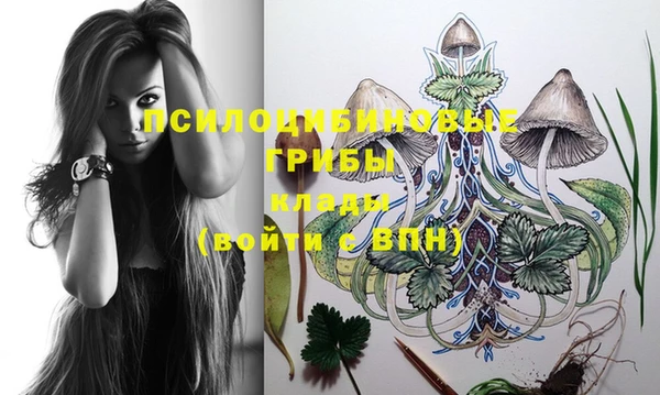 PSILOCYBIN Армянск