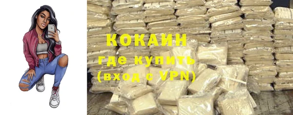 PSILOCYBIN Армянск