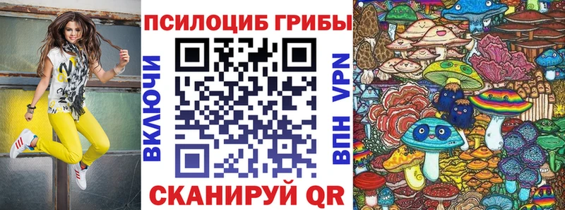 купить наркоту  Билибино  Псилоцибиновые грибы ЛСД 